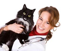 cat and vet